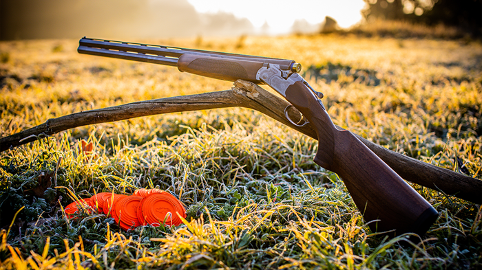 Clays for K9s